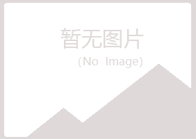 河源字迹能源有限公司